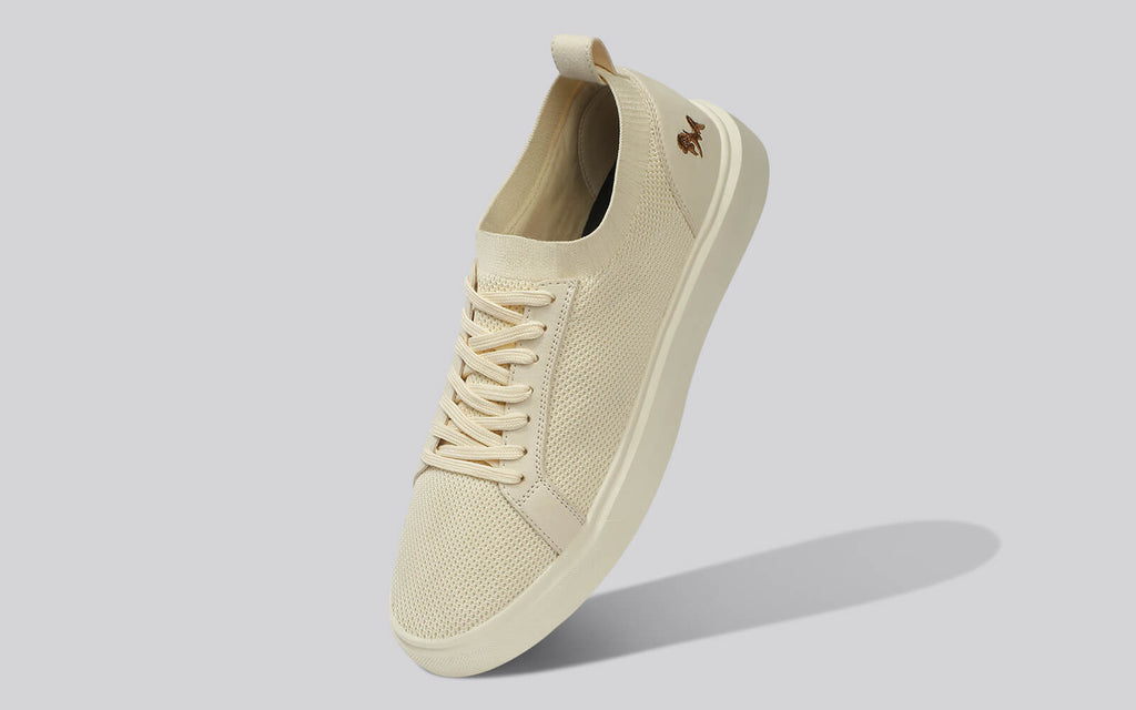 Classic Knit Neutrals For Women : Ivory