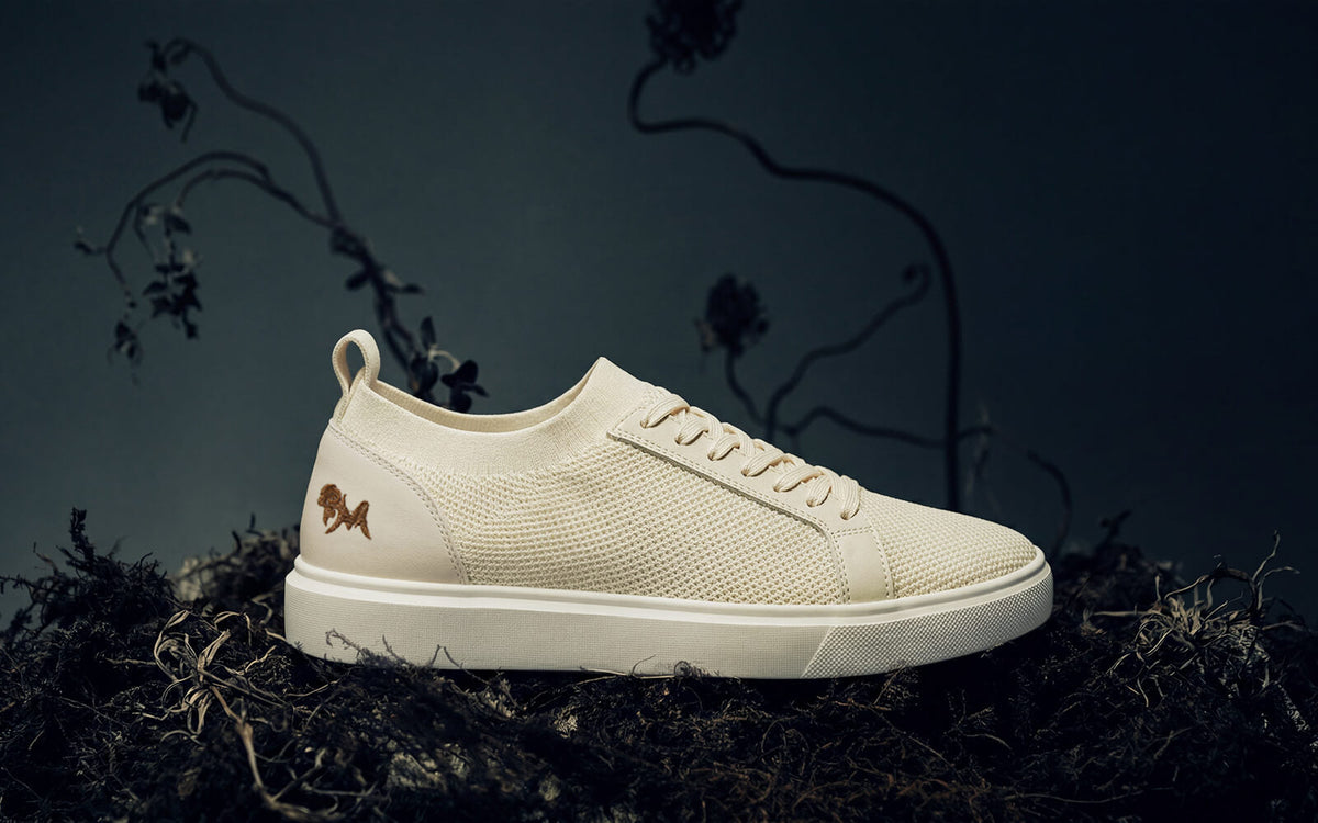 Classic Knit Neutrals For Women : Ivory