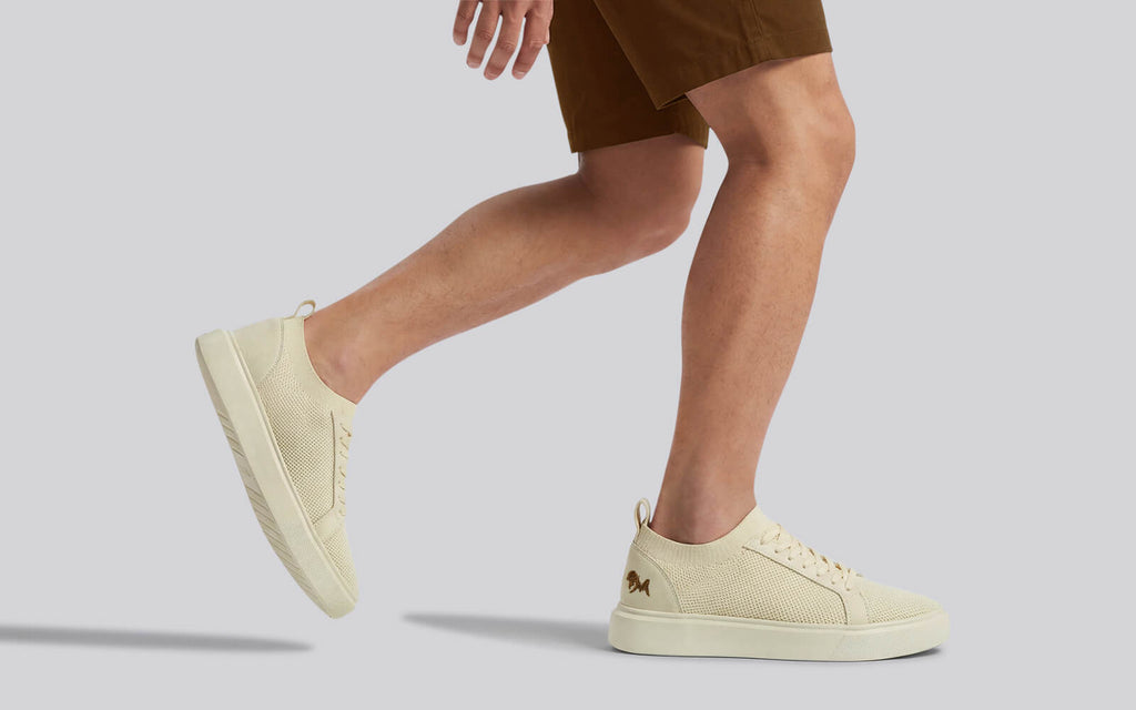Classic Knit Neutrals For Men : Ivory